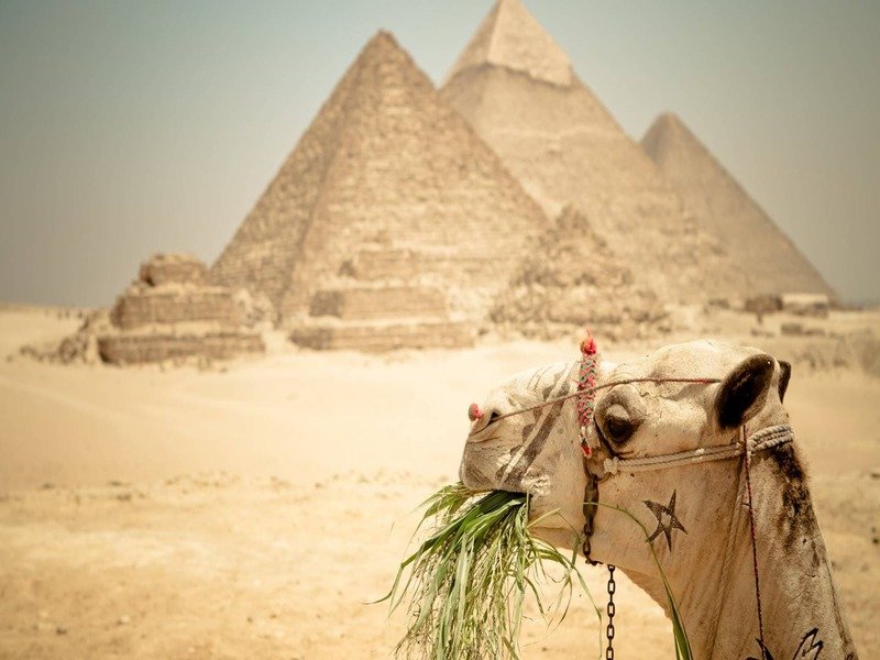 TOUR TO GIZA PYRAMIDS MEMPHIS SAKKARA AND FELUCCA ON THE NILE