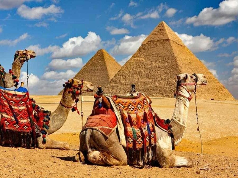 DAY TOUR TO GIZA PYRAMIDS WITH CAMEL RIDE AND EGYPTIAN MUSEUM IN CAIRO