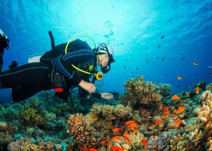 best-places-to-dive