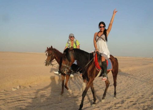 ADVENTURE SAFARI BY HORSE IN SHARM EL SHEIKH
